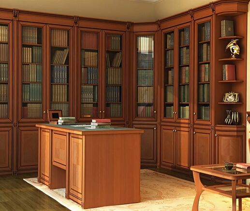 Библиотека Акулина