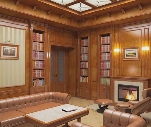 Библиотека Амелия