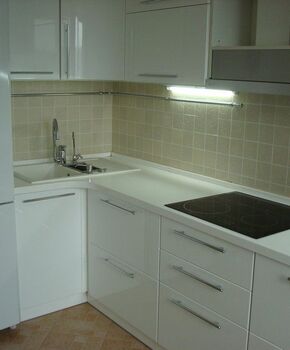 Кухня Арктика