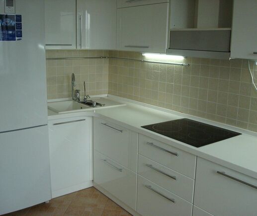 Кухня Арктика