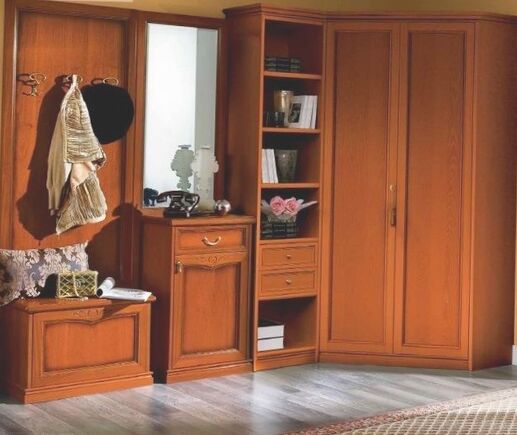 Прихожая Ания