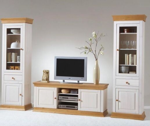 Гостиная Синика