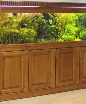 Шкаф Израиль