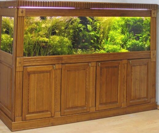 Шкаф Израиль