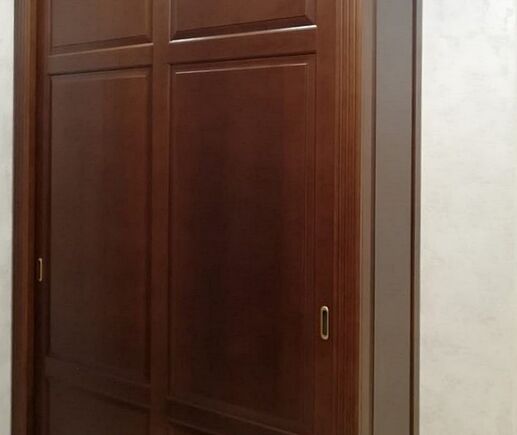 Шкаф-купе Алектрион