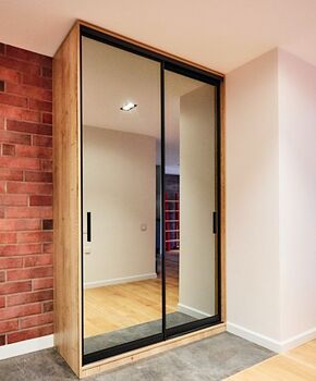 Шкаф-купе Аллокамелус