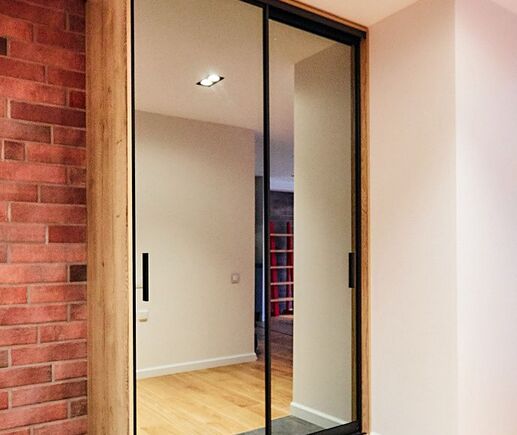 Шкаф-купе Аллокамелус